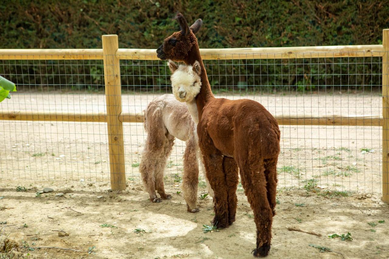 ホテル レ カパンネ アレッツォ エクステリア 写真
