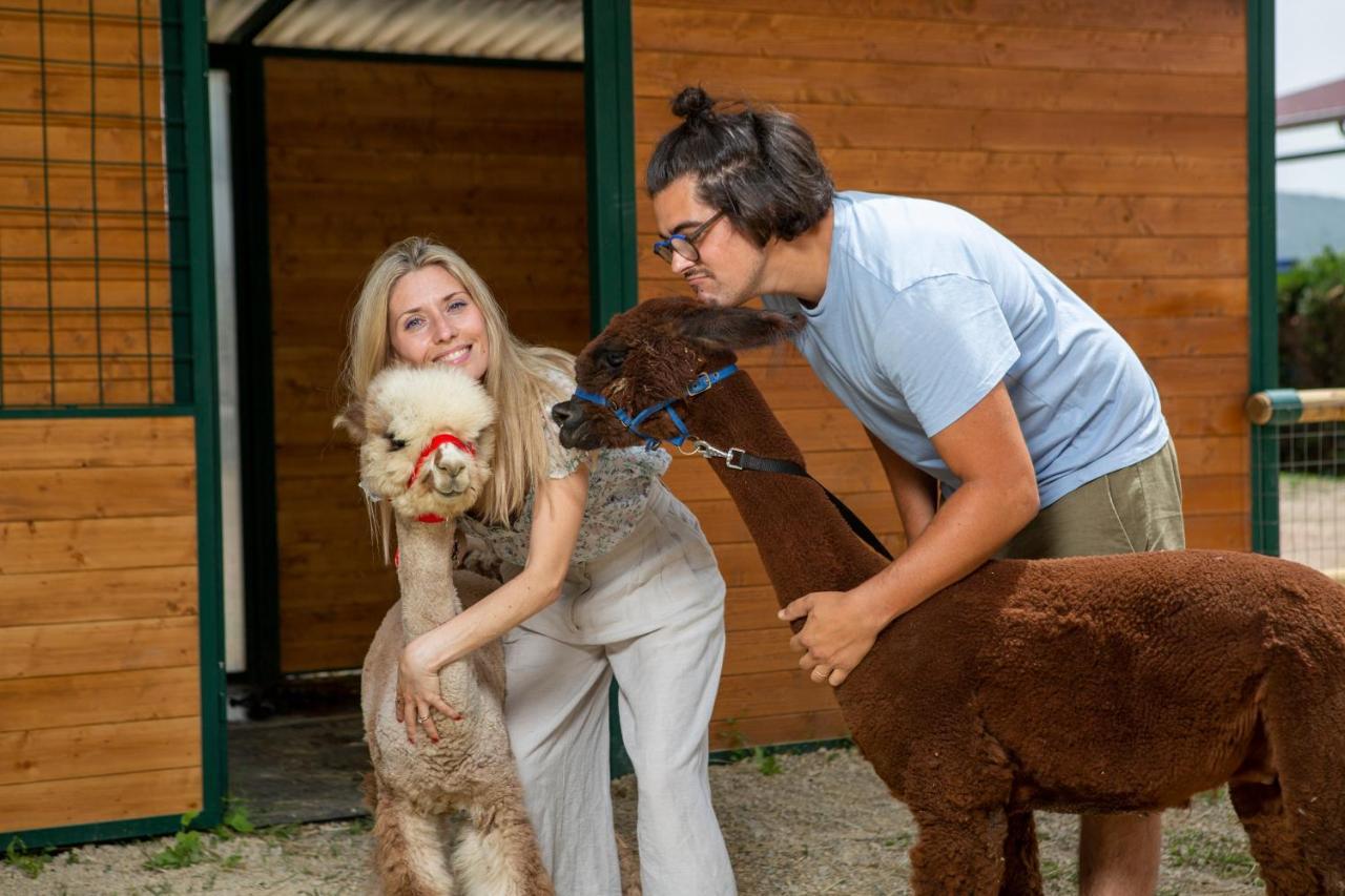 ホテル レ カパンネ アレッツォ エクステリア 写真