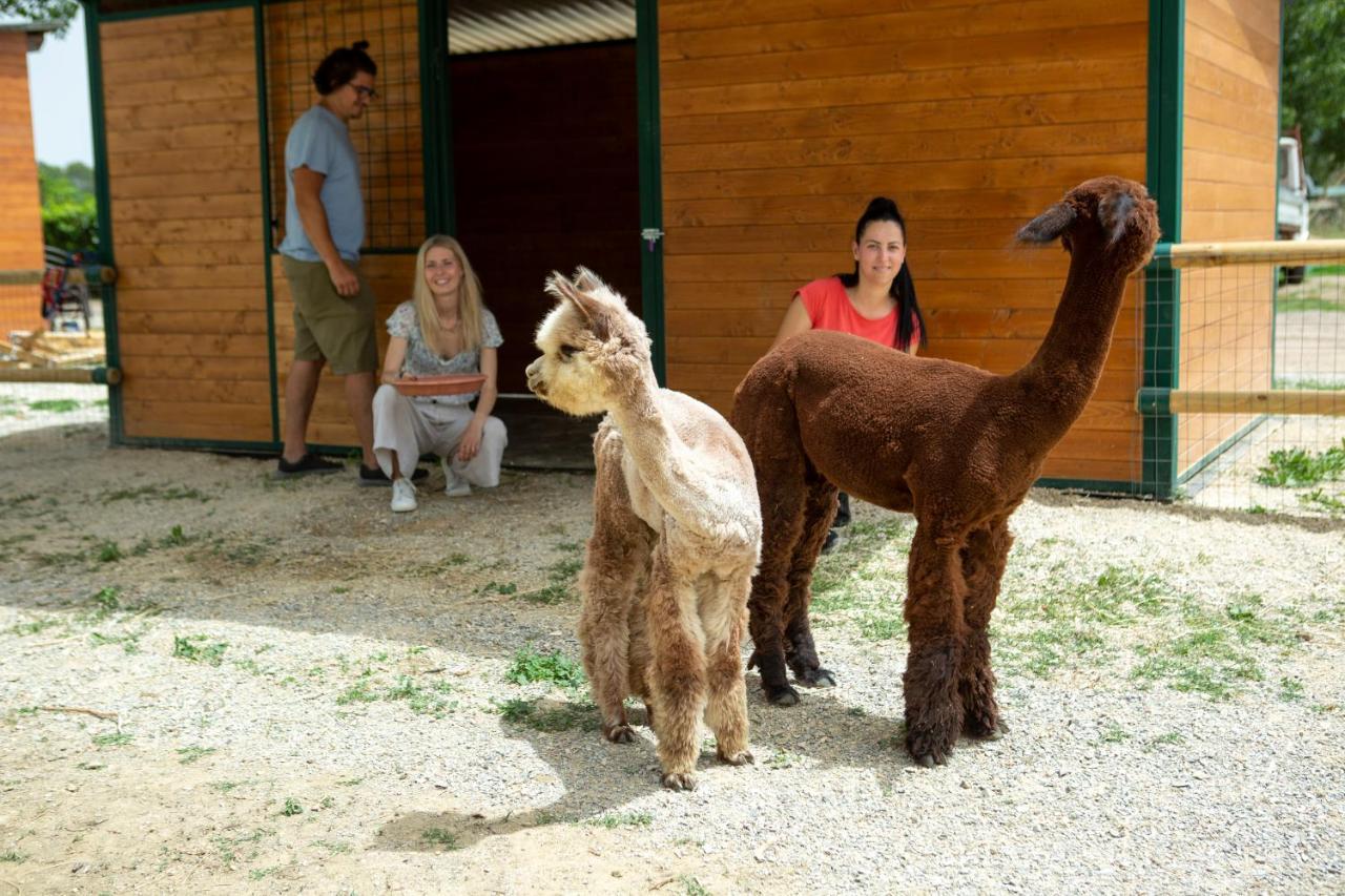 ホテル レ カパンネ アレッツォ エクステリア 写真