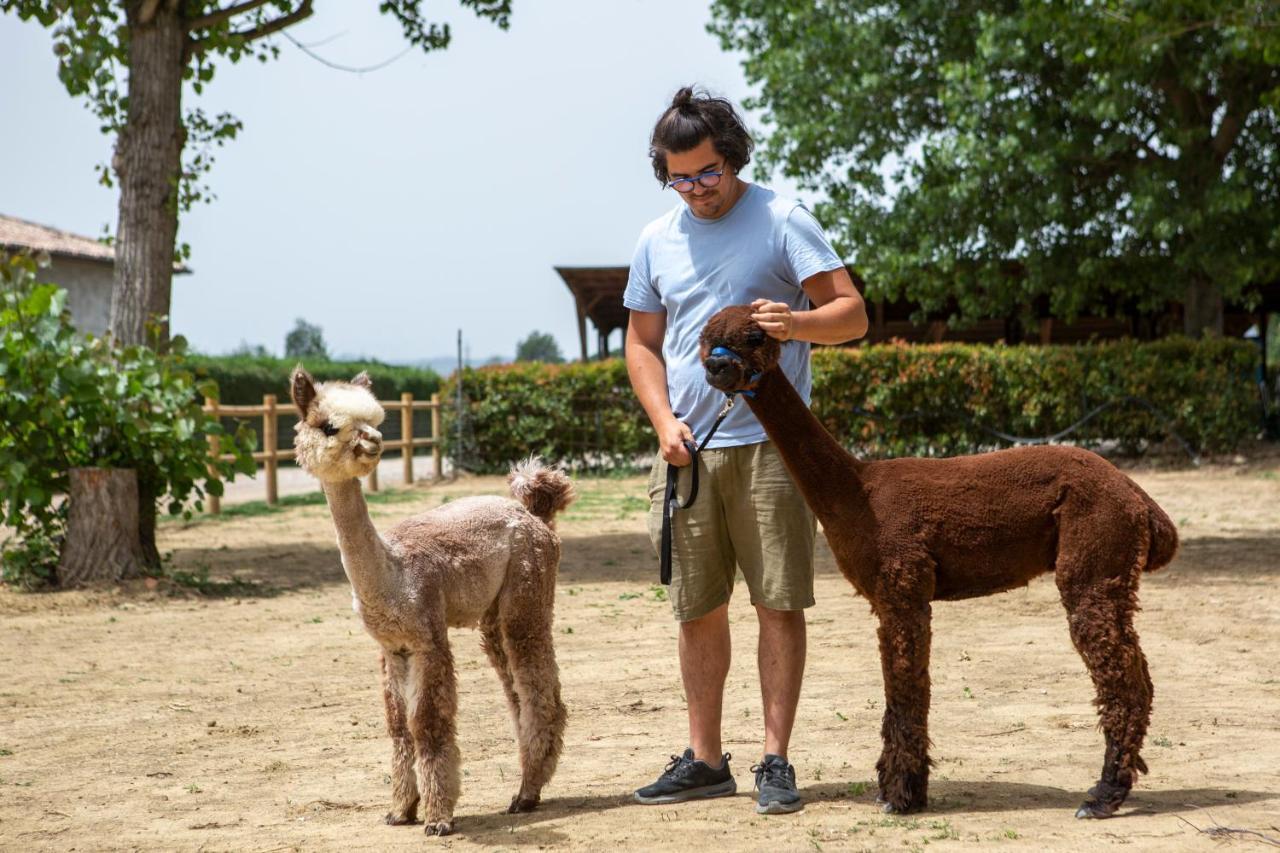 ホテル レ カパンネ アレッツォ エクステリア 写真