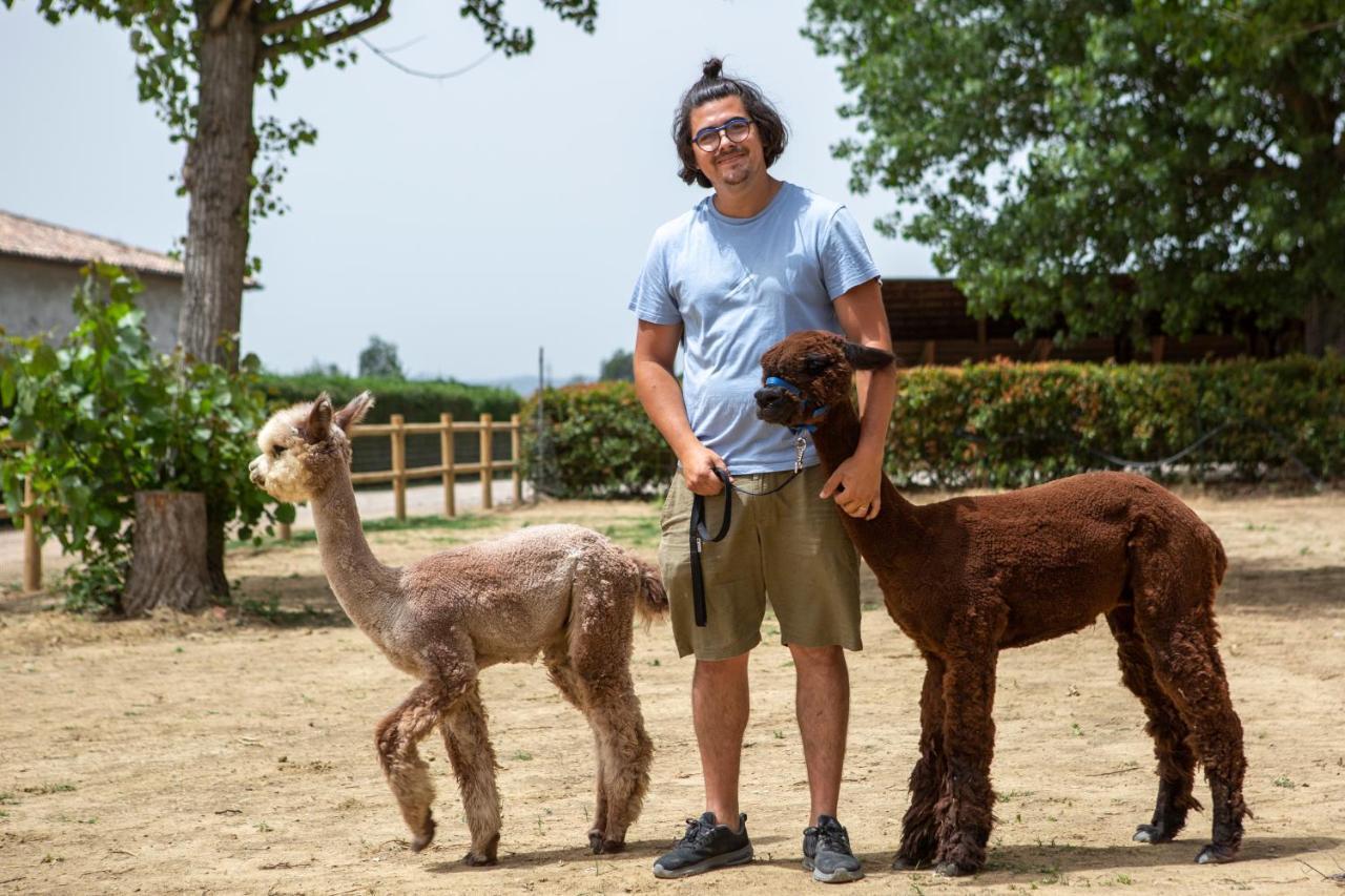 ホテル レ カパンネ アレッツォ エクステリア 写真