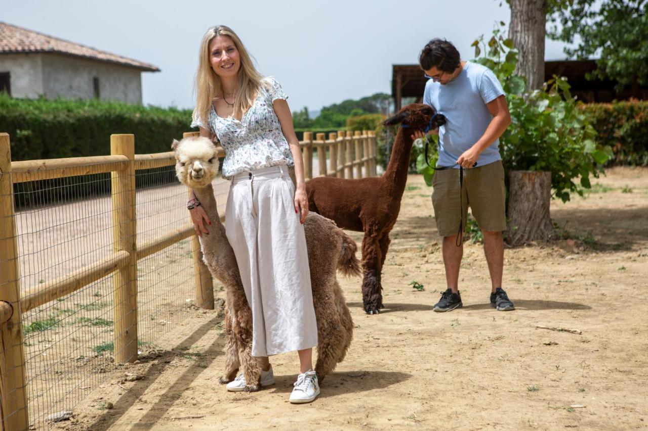 ホテル レ カパンネ アレッツォ エクステリア 写真