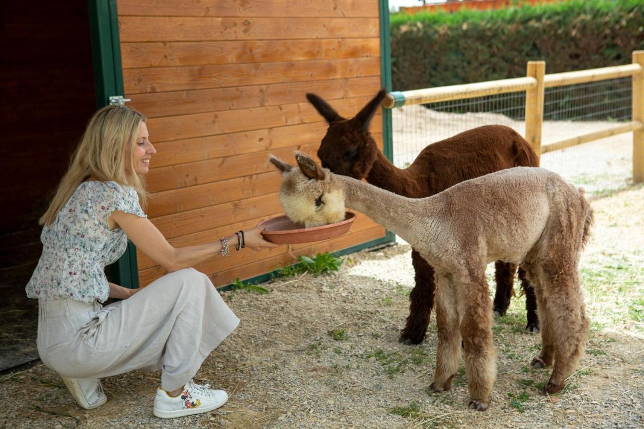 ホテル レ カパンネ アレッツォ エクステリア 写真